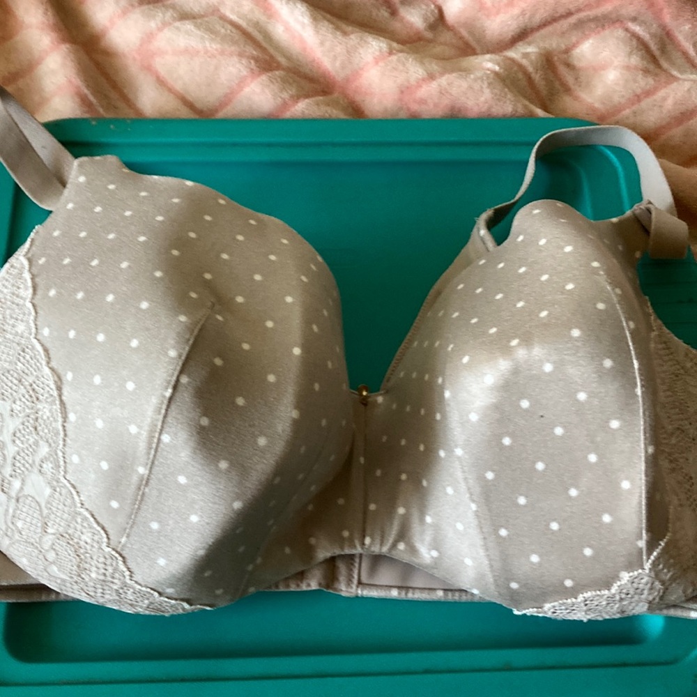 Cacique 42DDD